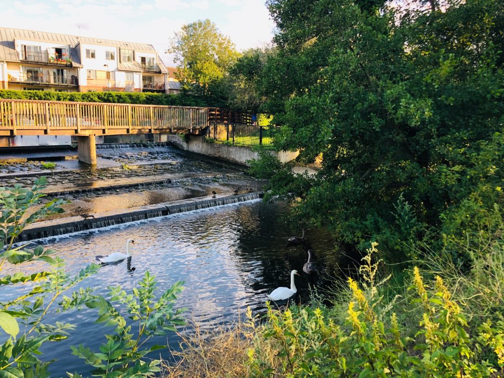 Visit Hertford The perfect day trip I Love Hertford